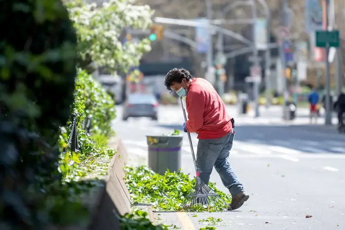 A photo of a gardener in Manhattan raking up yard waste. Waste like this will become mandatory to recycle under a proposed new rule.